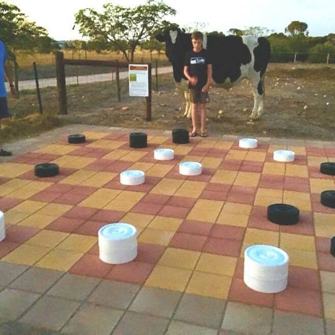         Play Checkers